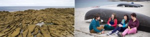 Inisheer Beach and Shore